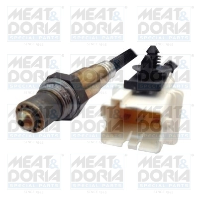 Oxygen Sensor